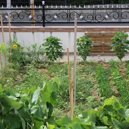 Nestly Pensionat Tirana