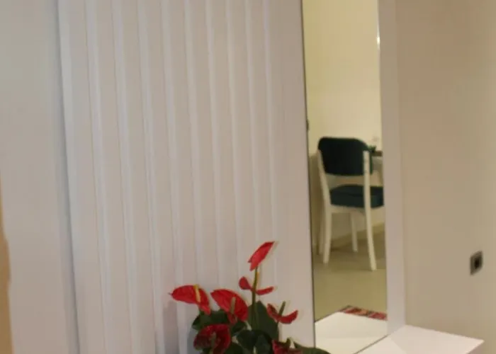 Nestly 게스트하우스 티라나